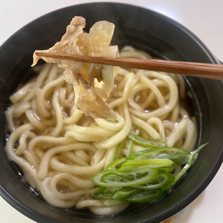 ヤマダストアー かすうどん